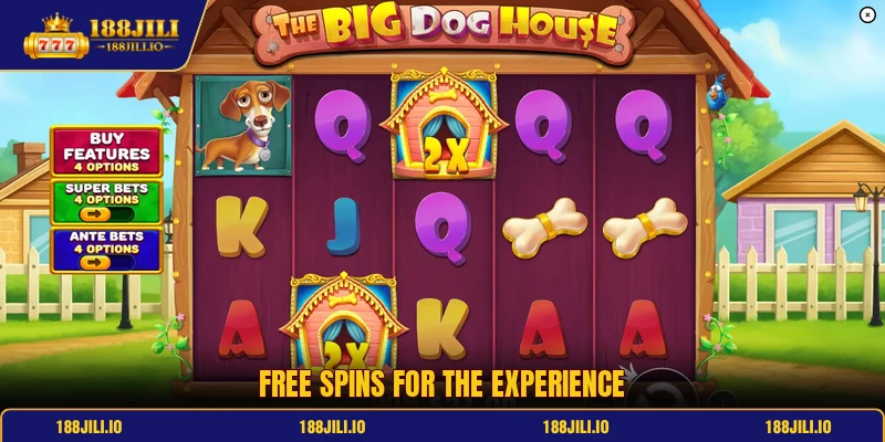 Free spins for the experience Free spins for the experience
