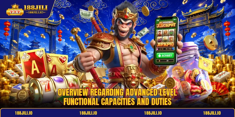 Overview regarding advanced level functional capacities and duties Overview regarding advanced level functional capacities and duties