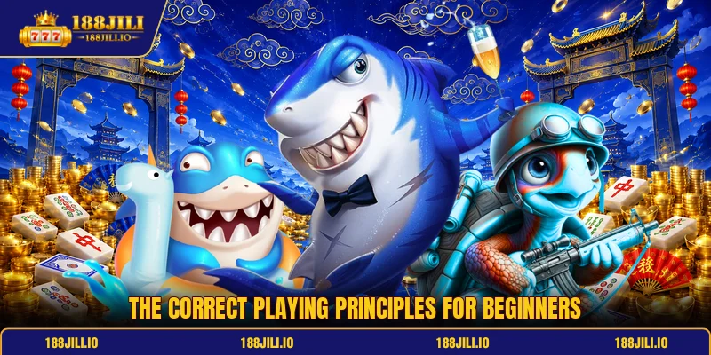 The correct playing principles for beginners The correct playing principles for beginners